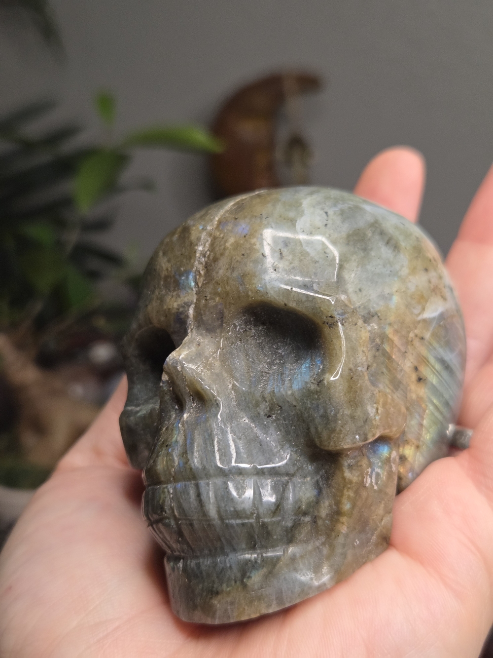 Labradorite Carved Skull - Picture 8 of 16